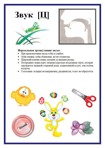 ИГРЫ ДЛЯ ПРОРАБОТКИ ЗВУКА {Ц} ИГРЫ ДЛЯ ПРОРАБОТКИ ЗВУКА {Ц}.