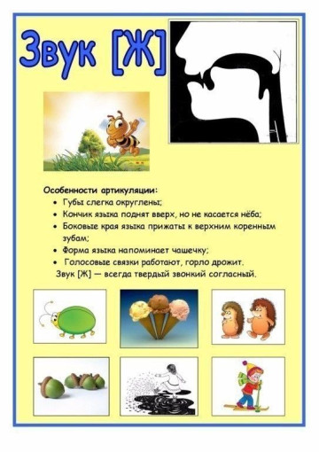 ИГРЫ И УПРАЖНЕНИЯ ЗВУК "Ж" ИГРЫ И УПРАЖНЕНИЯ ЗВУК "Ж".